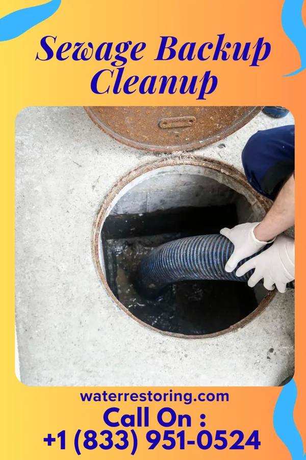 Sewage Backup Cleanup in Fayetteville, AR